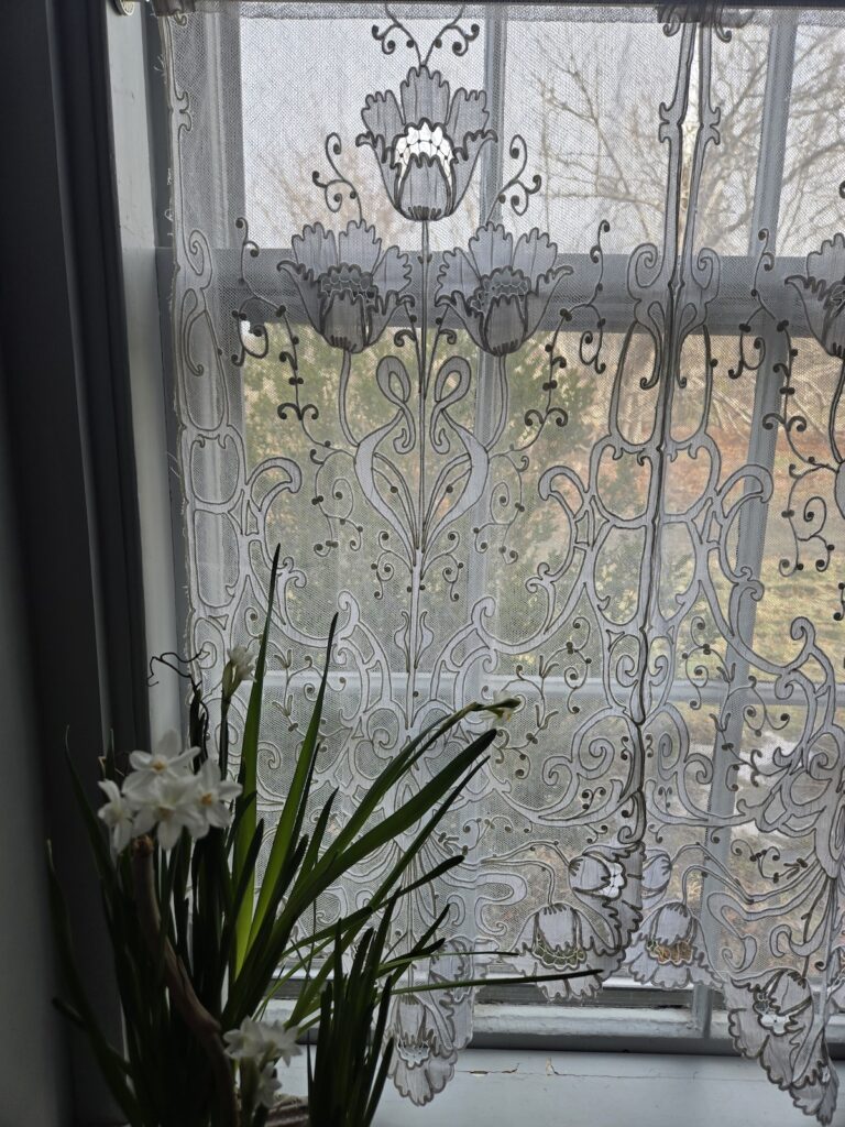 art-nouveau-poppies-3