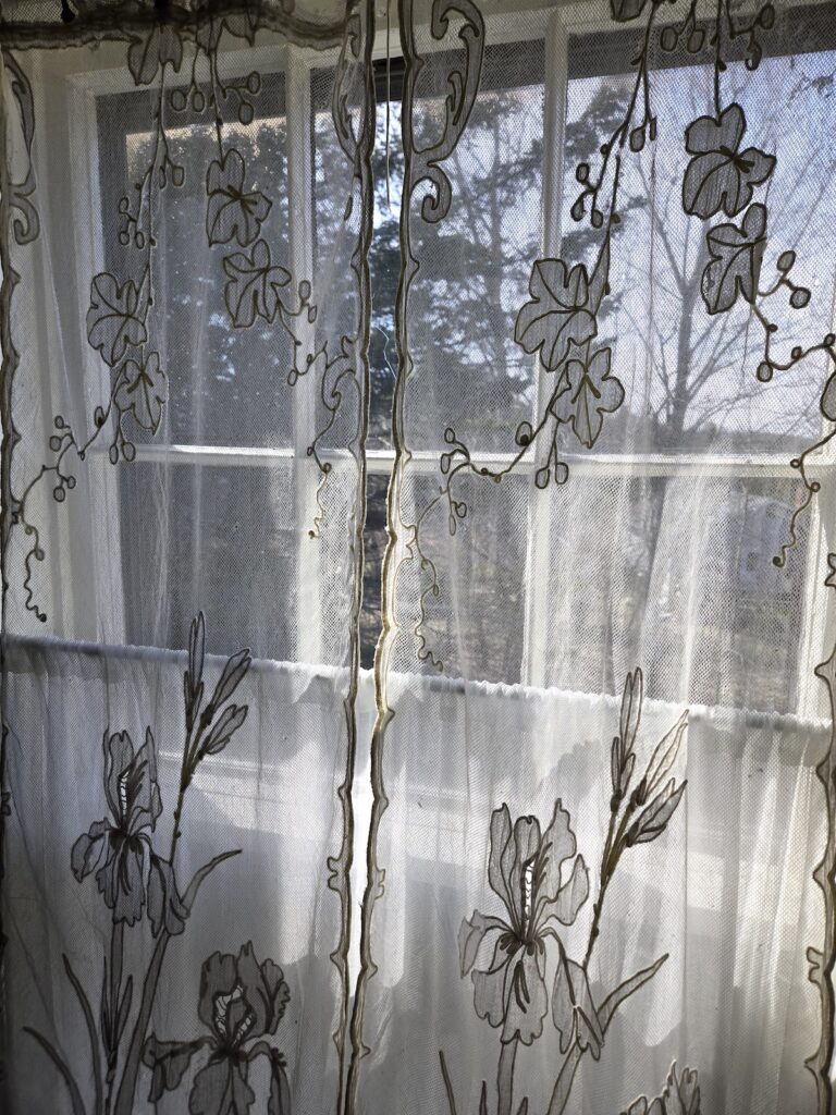 art-nouveau-irises_4